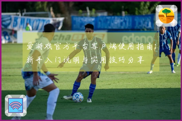 爱游戏官方平台客户端使用指南：新手入门说明与实用技巧分享